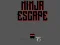 게임 Ninja escape 온라인