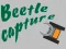 게임 Beetle Capture 온라인