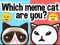 게임 Which Meme Cat Are You? 온라인