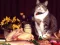 게임 Funny Cats Puzzle 온라인