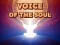 게임 Voice Of The Soul 온라인