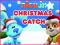 게임 Nick Jr. Christmas Catch 온라인