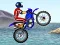 게임 FMX team 온라인