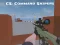 게임 CS: Command Snipers 온라인