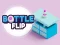 게임 Bottle Flip 온라인