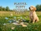 게임 Playful Puppy Outdoor Puzzle 온라인