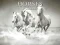 게임 Horses Puzzle 온라인