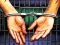 게임 Prison Escape 2022 온라인