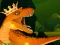 게임 The Dino King 온라인