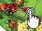 게임 Ladybug Clicker 온라인