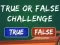 게임  True Or False Challenge 온라인