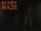 게임 Scary Maze 온라인