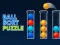 게임 Ball Sort Puzzle 온라인