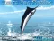 게임 Azure Sea Fishing 온라인