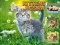 게임 Kittens Jigsaw 온라인