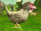 게임 Chicken Shooter 온라인
