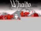 게임 Whaito 온라인