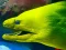 게임 Underwater World Jigsaw 온라인