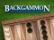 게임 Backgammon 온라인