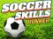 게임 Soccer Skills Runner 온라인
