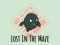 게임 Lost In The Maze 온라인