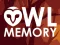 게임 Owl Memory 온라인