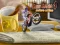 게임 Bike Mania 4 Micro Office 온라인