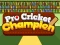 게임 Pro Cricket Champion 온라인