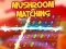 게임 Mushroom matching 온라인