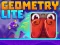 게임 Geometry Lite 온라인