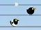 게임 Gone with the Birds 온라인