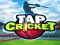 게임 Tap Cricket 온라인
