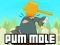 게임 Pum-Mole 온라인