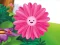 게임 Funny Flowers Jigsaw 온라인
