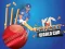 게임 Cricket World Cup Game 온라인
