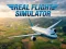 게임 Real Flight Simulator 온라인