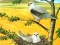 게임 Birds Of Prey Puzzle 온라인