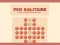 게임 Peg Solitaire 온라인