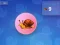 게임 Snail Clicker 온라인