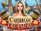 게임 Caribbean Treasure 온라인