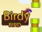게임 Birdy Bird 온라인