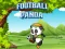 게임 Football Panda 온라인