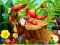 게임 Hidden Objects Insects 온라인