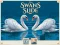 게임 Swans Slide 온라인