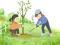 게임 Arbor Day Puzzle 온라인