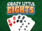 게임 Crazy Little Eights 온라인