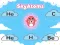 게임 SkyAtoms 온라인