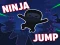 게임 Ninja jump 온라인