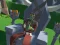 게임 Lazy Orcs: Arena 온라인