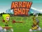 게임 Arrow Shoot 온라인